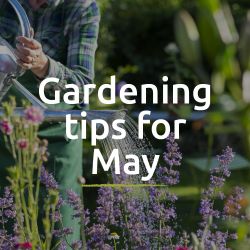 Garden Tips for May