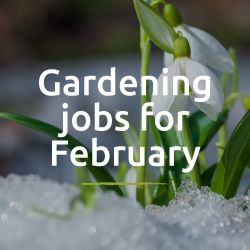Gardening Jobs for February