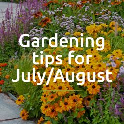 Tips for the garden July & August