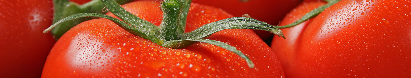 Tomato banner