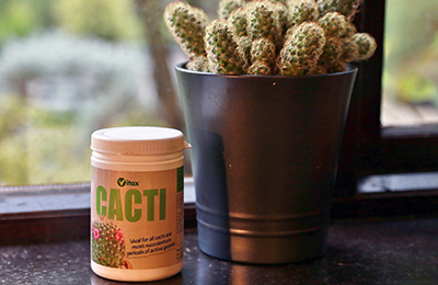 Vitax Cacti