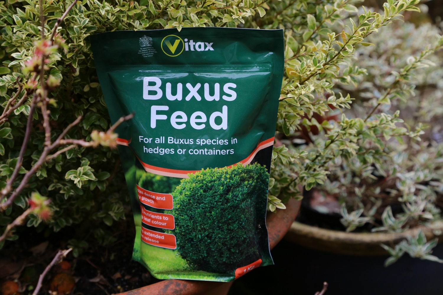 Vitax Buxus feed