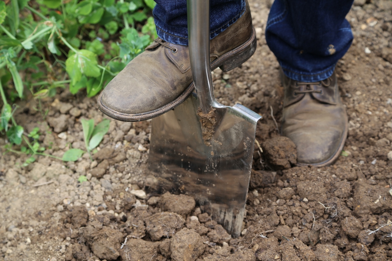 Garden World How To Improve Clay Soil, Improving Clay Soil For Gardening