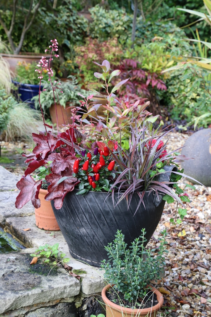 Planting Pots For Autumn And Winter, Winter Garden Pot Ideas Uk