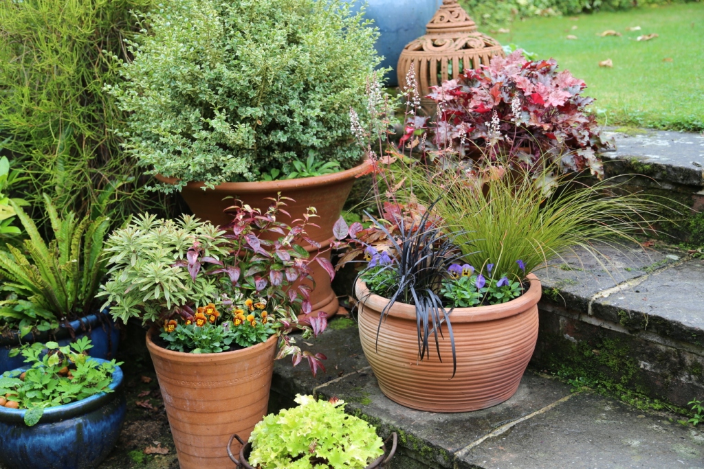 Garden World Planting Pots For Autumn And Winter - Patio Container Planting Ideas Uk