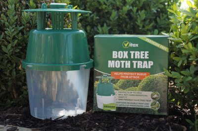 Box Tree Moth Pheromone Trap Setup – EBTS UK