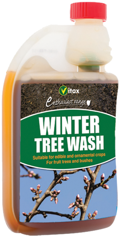 ¿Cuándo te lavas el invierno los árboles frutales?