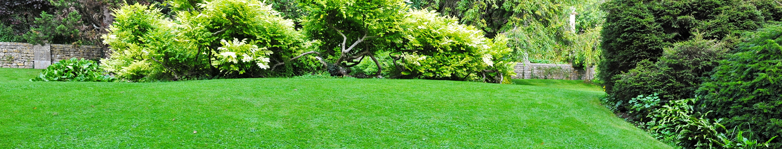 how to restore a tired lawn